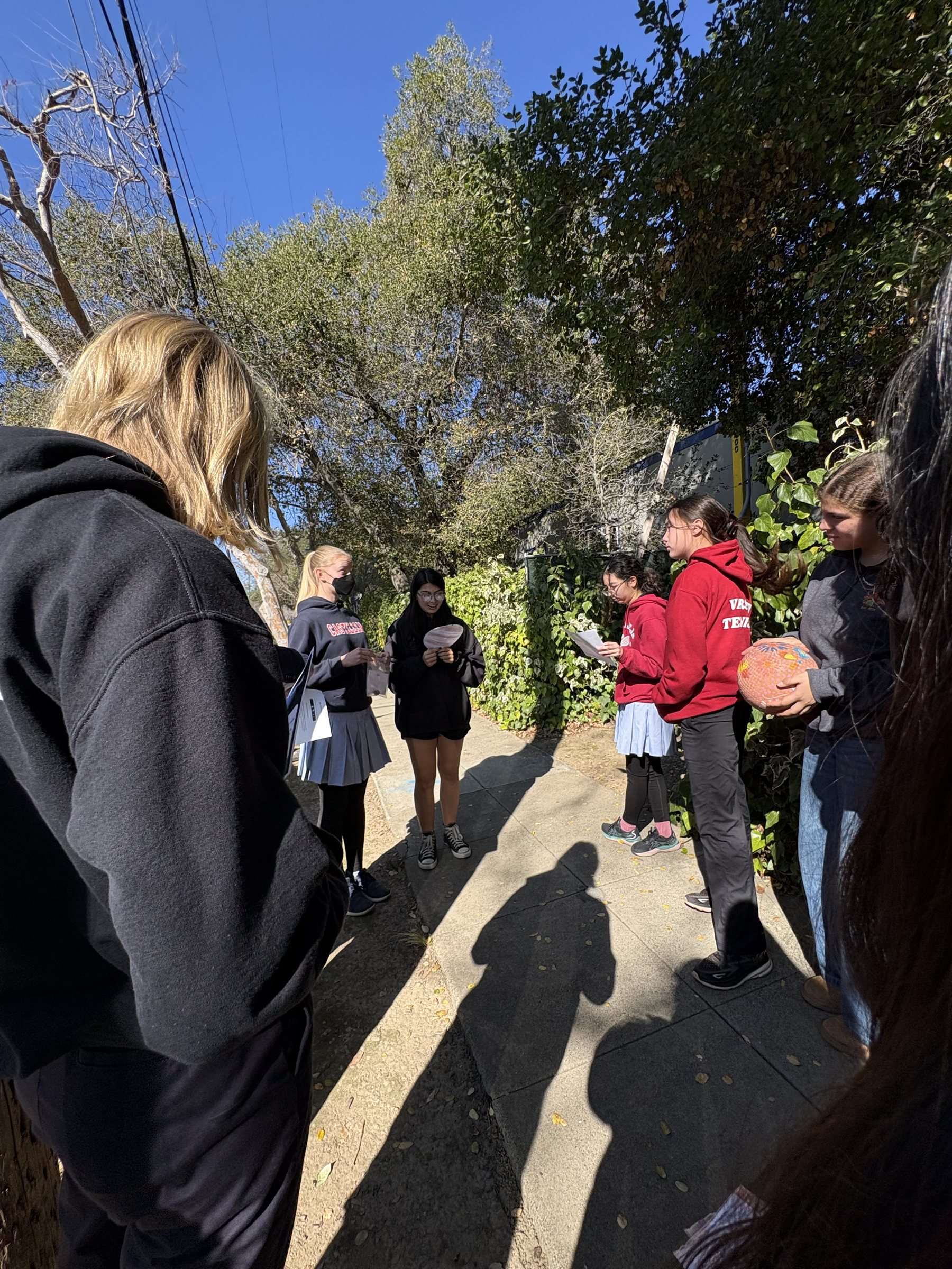 Astra students on a solar system walk